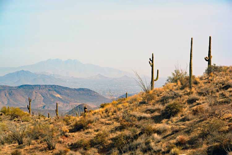 off-road trail